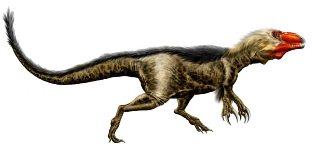 Dryptosaurus est un genre de dinosaure qui vivait dans le New Jersey
