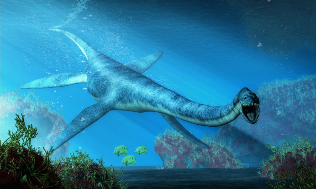 Elasmosaurus