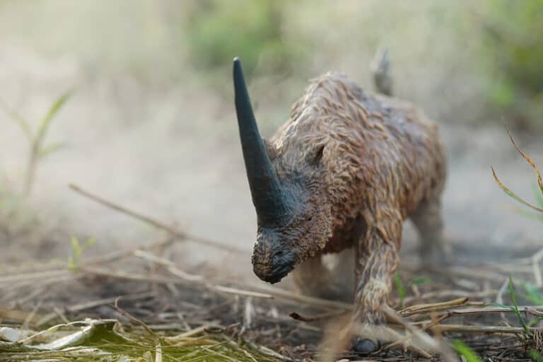 Elasmotherium was an ungulate, living on plants.