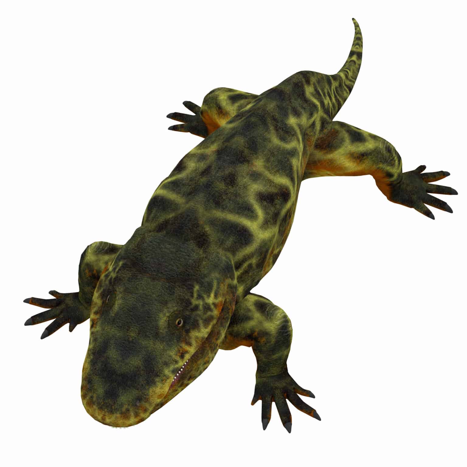 meet-the-egg-laying-ancient-predator-the-looks-like-an-alligator-a-z