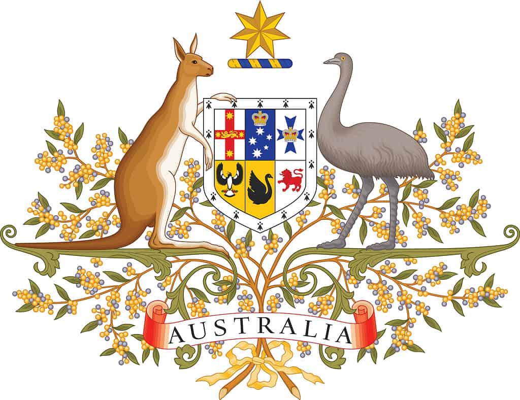 Official current vector coat of arms of AUSTRALIA with Emu