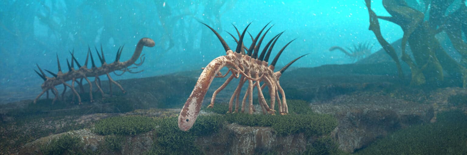 Discover 5 Incredible Cambrian Period Animals - A-Z Animals