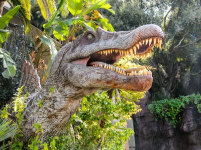 A Discover the 10 Dinosaurs That Start with V