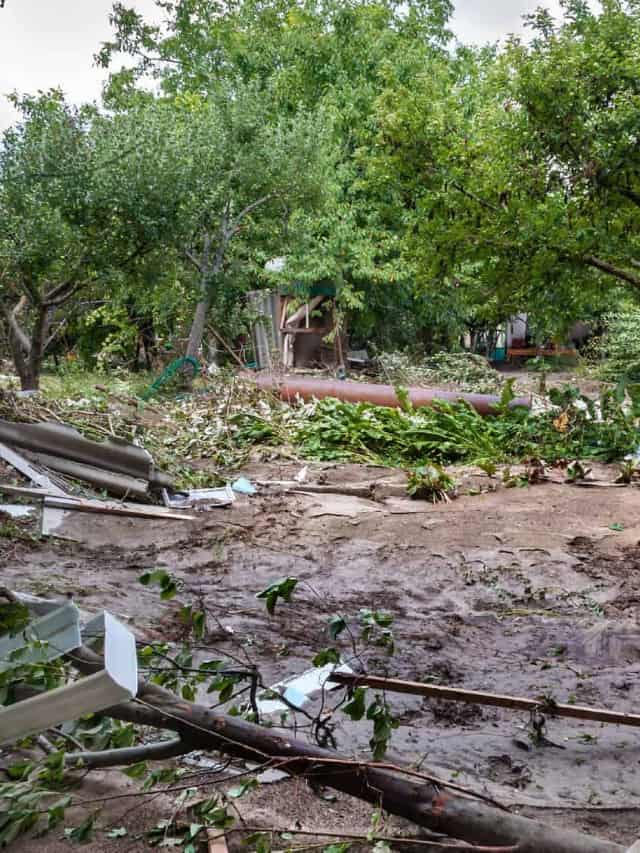 mudslide-vs-landslide-what-s-the-difference-az-animals