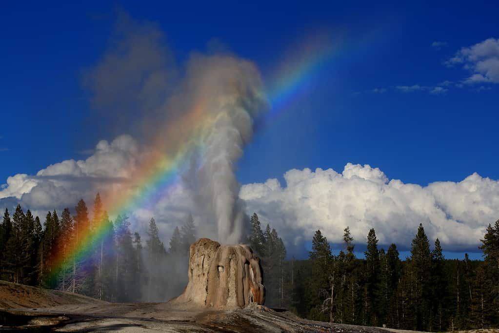 Lone Star Geyser 2016, Roy Marino photo credit