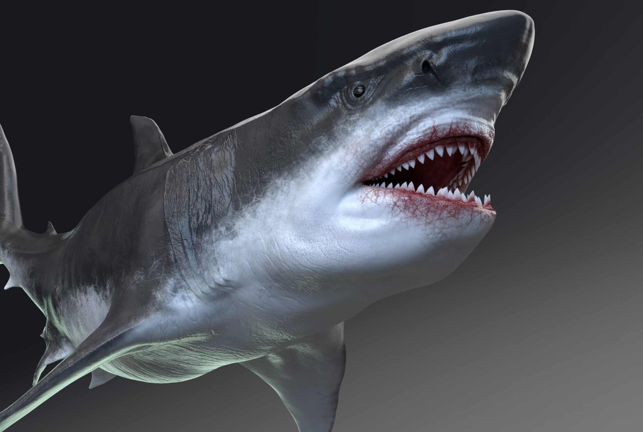 Epic Battles: The Largest Shark Ever vs. The Largest Prehistoric Sea