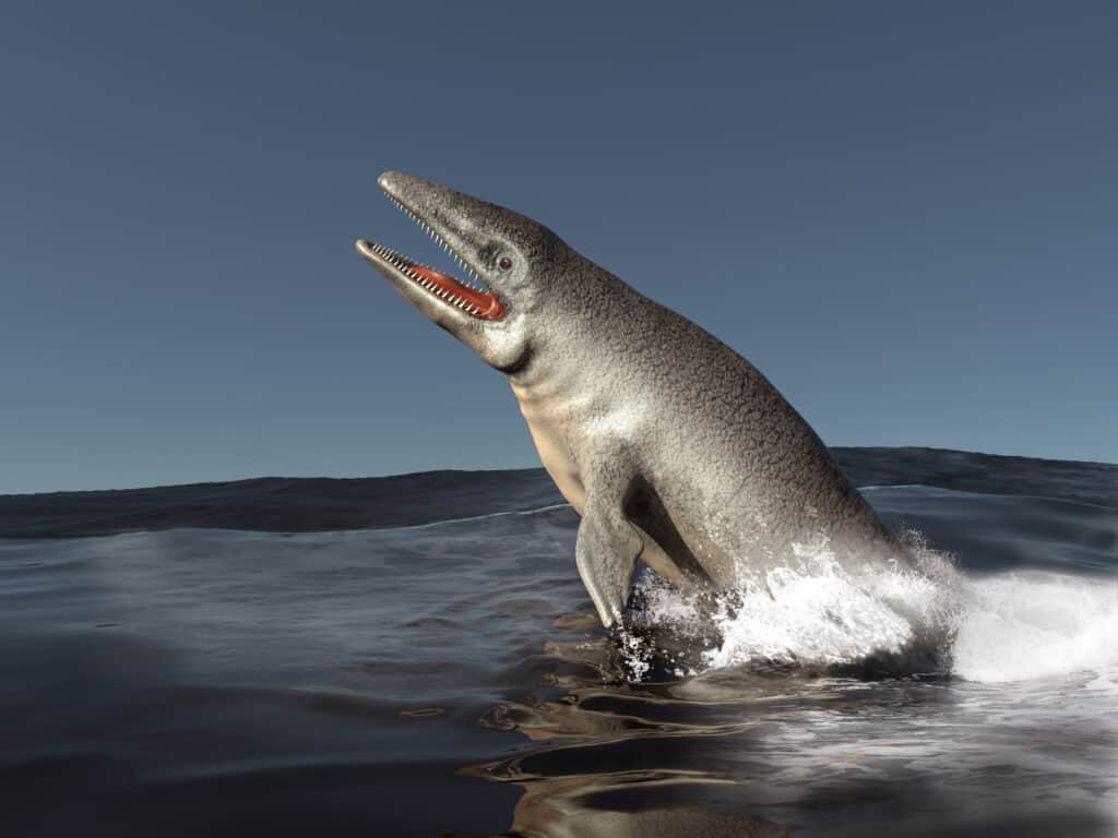 Mosasaurus