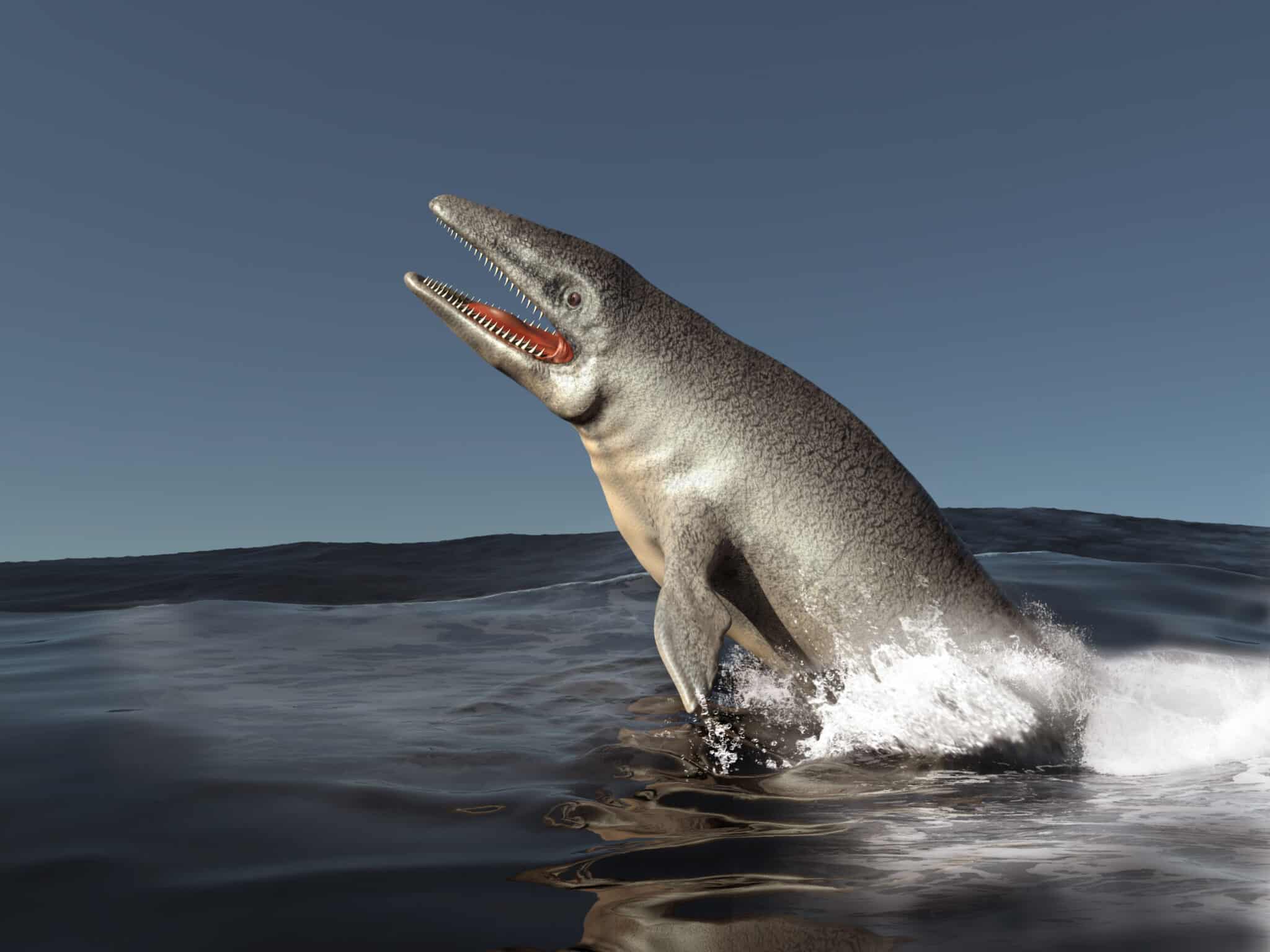 Mosasaurus Animal Facts Mosasaurus A Z Animals Mosasaurus Animal Facts Mosasaurus A Z Animals