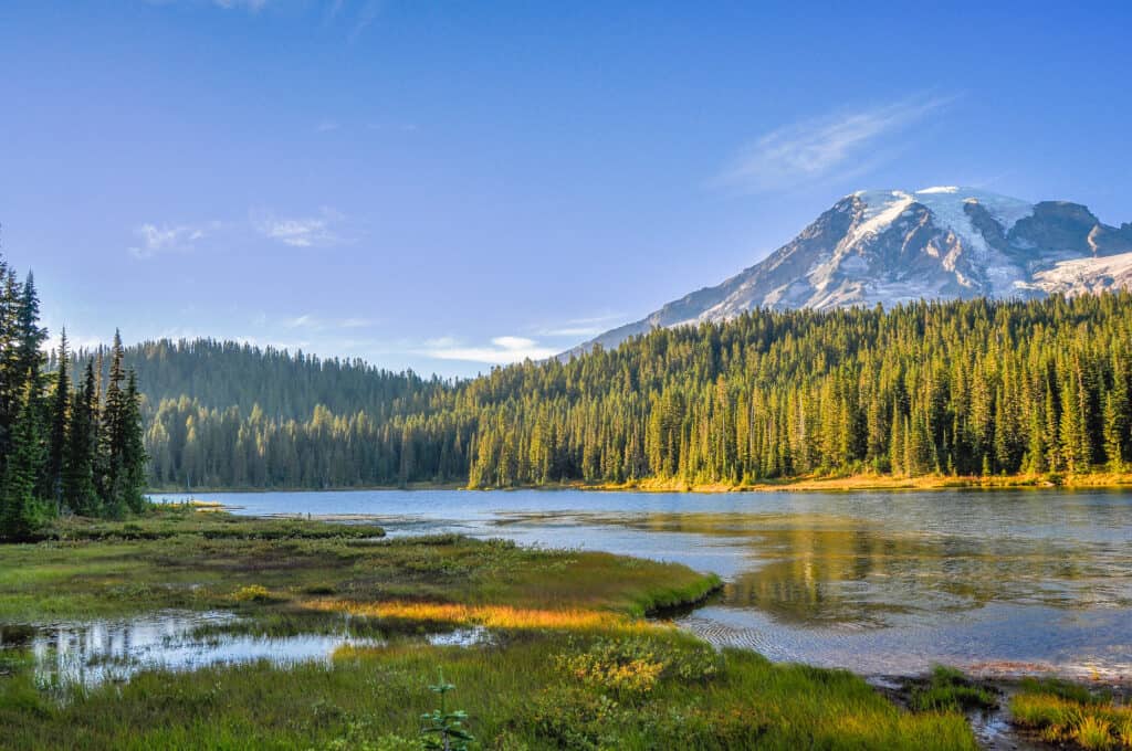 mount ranier