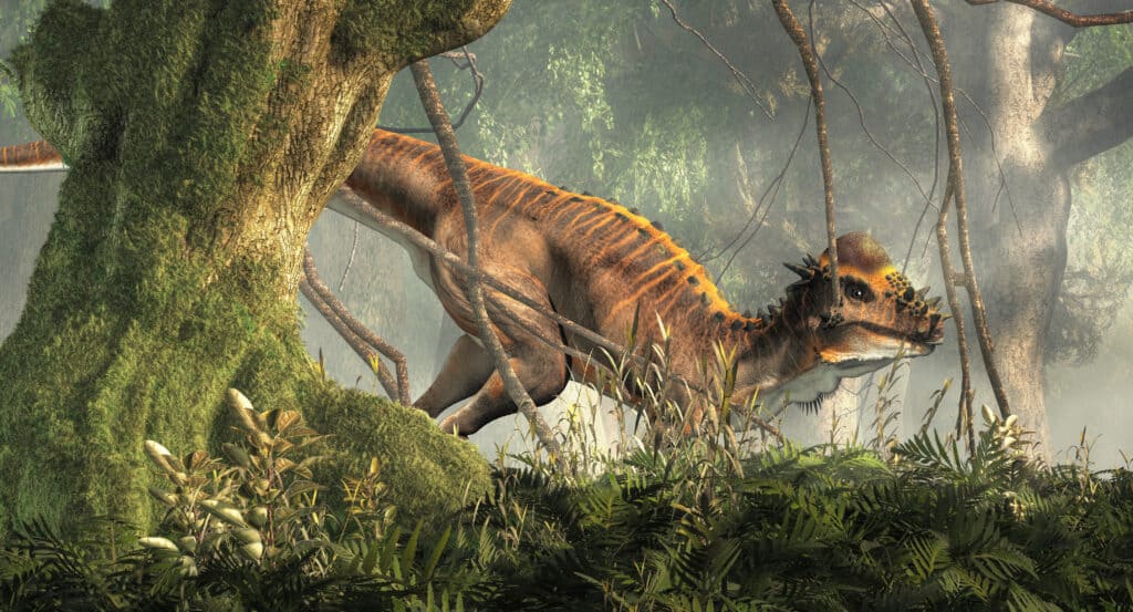 Pachycephalosaurus dinosaur