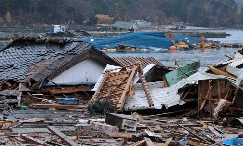tsunami disaster in Japan
