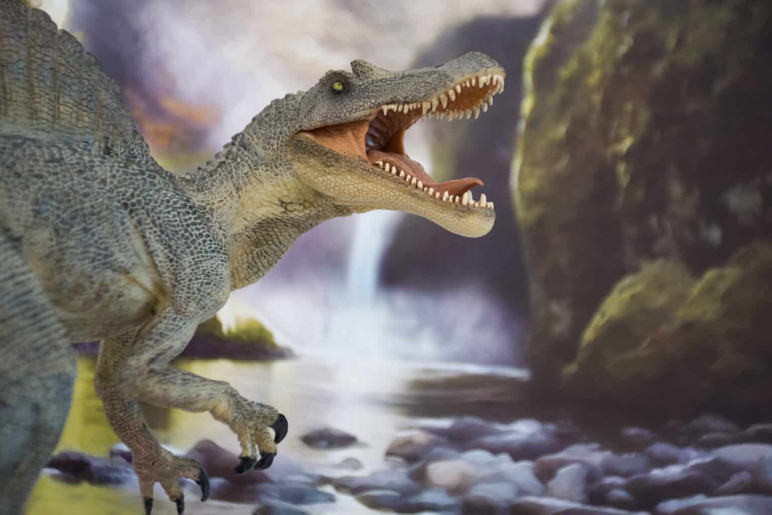 The 11 Most Dangerous Animals Lurking in the Sahara Desert - A-Z Animals