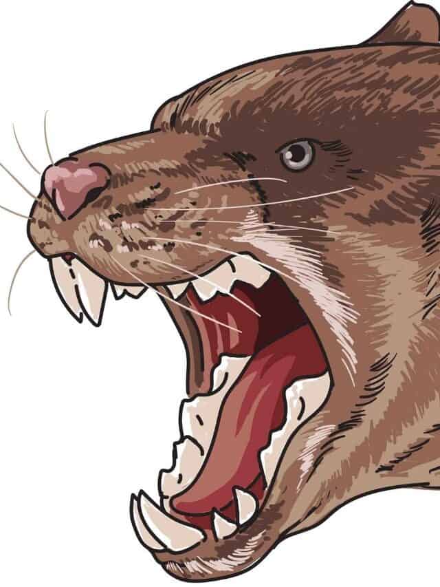 This Animal Had The Strongest Bite Force Of Any Mammal – Ever - AZ Animals