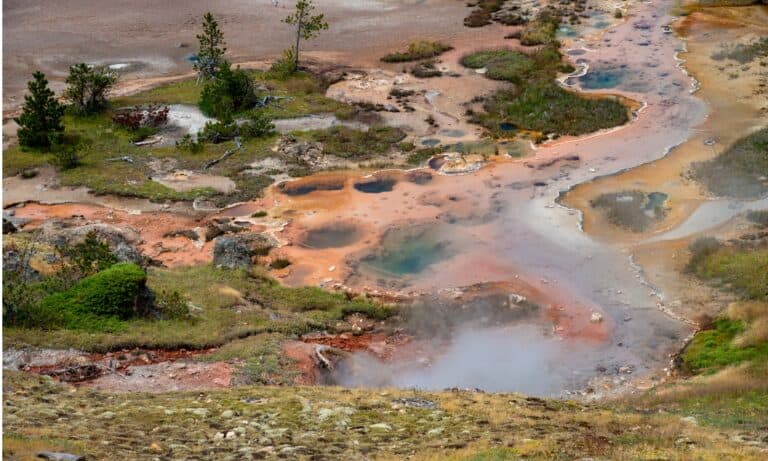 best geysers in yellowstone