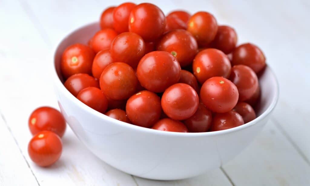 Cherry tomatoes in a white bowl against a white background