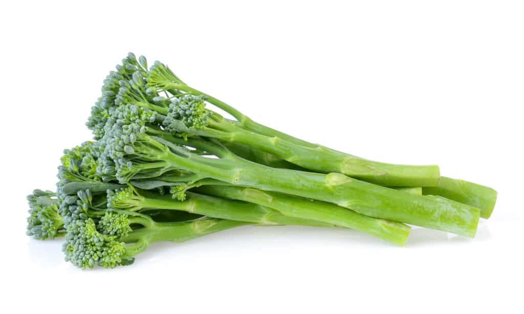 Broccolini vs bông cải xanh