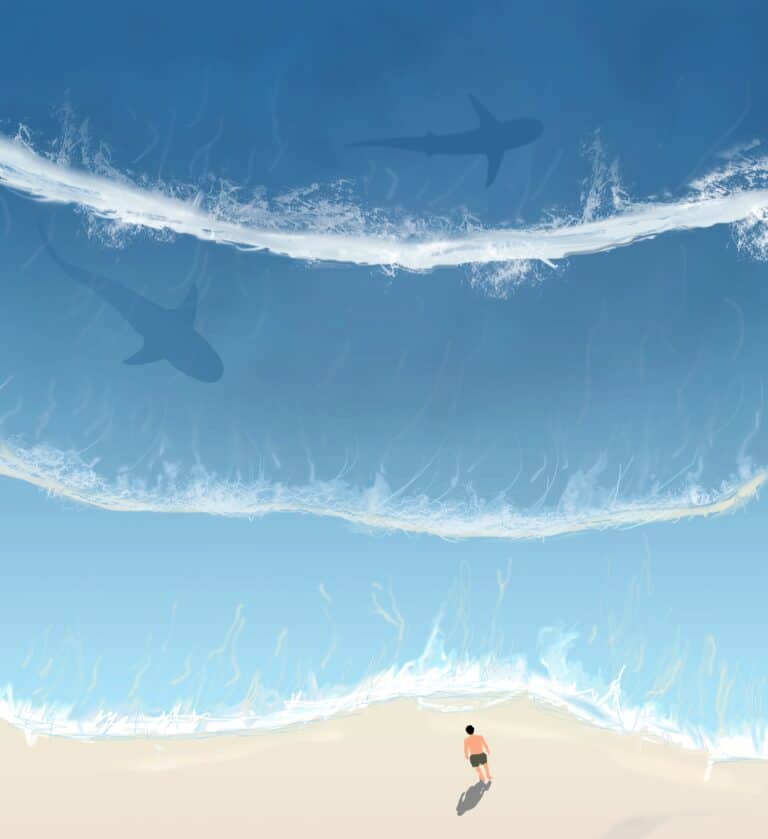 Bull shark on a beach - illustration