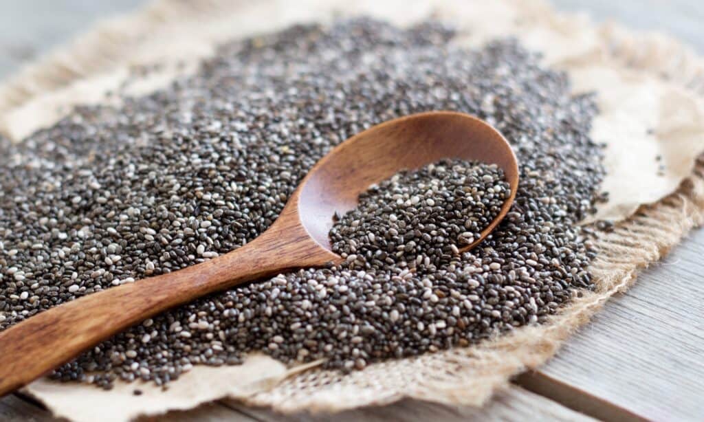 Basil Seeds vs Chia Seeds