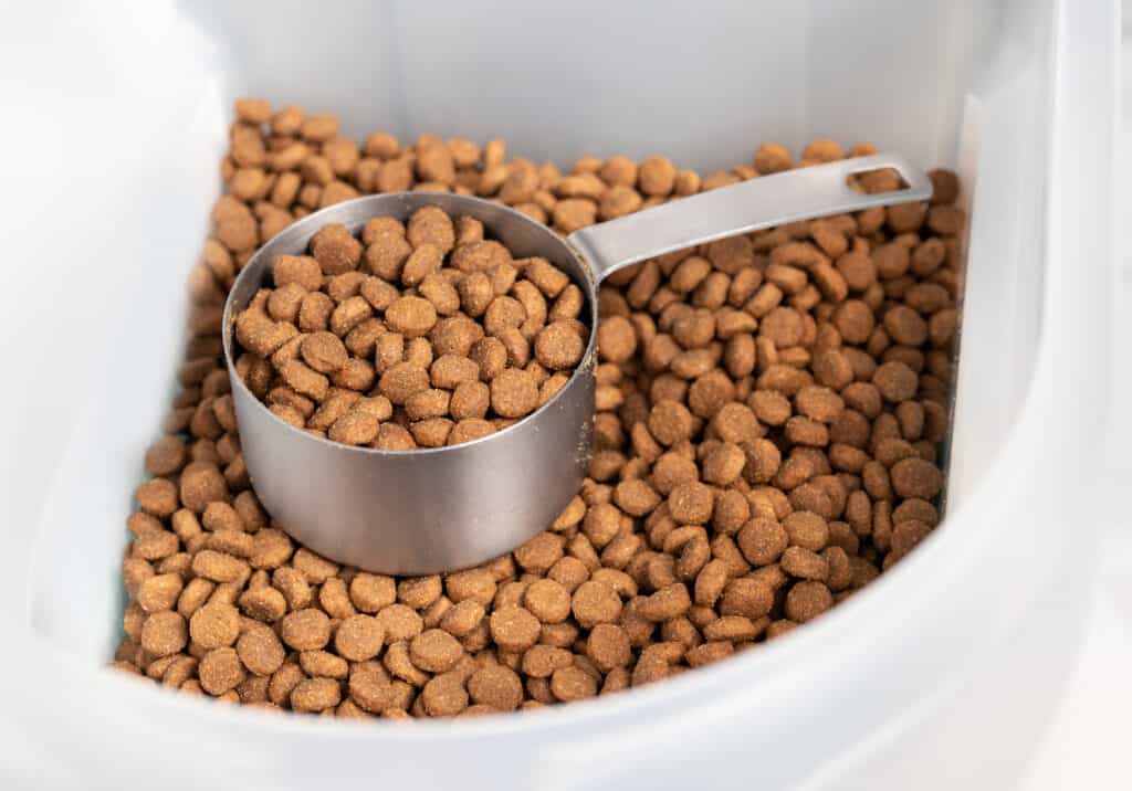 Animal meals made at rendering plants are in most pet kibbles.