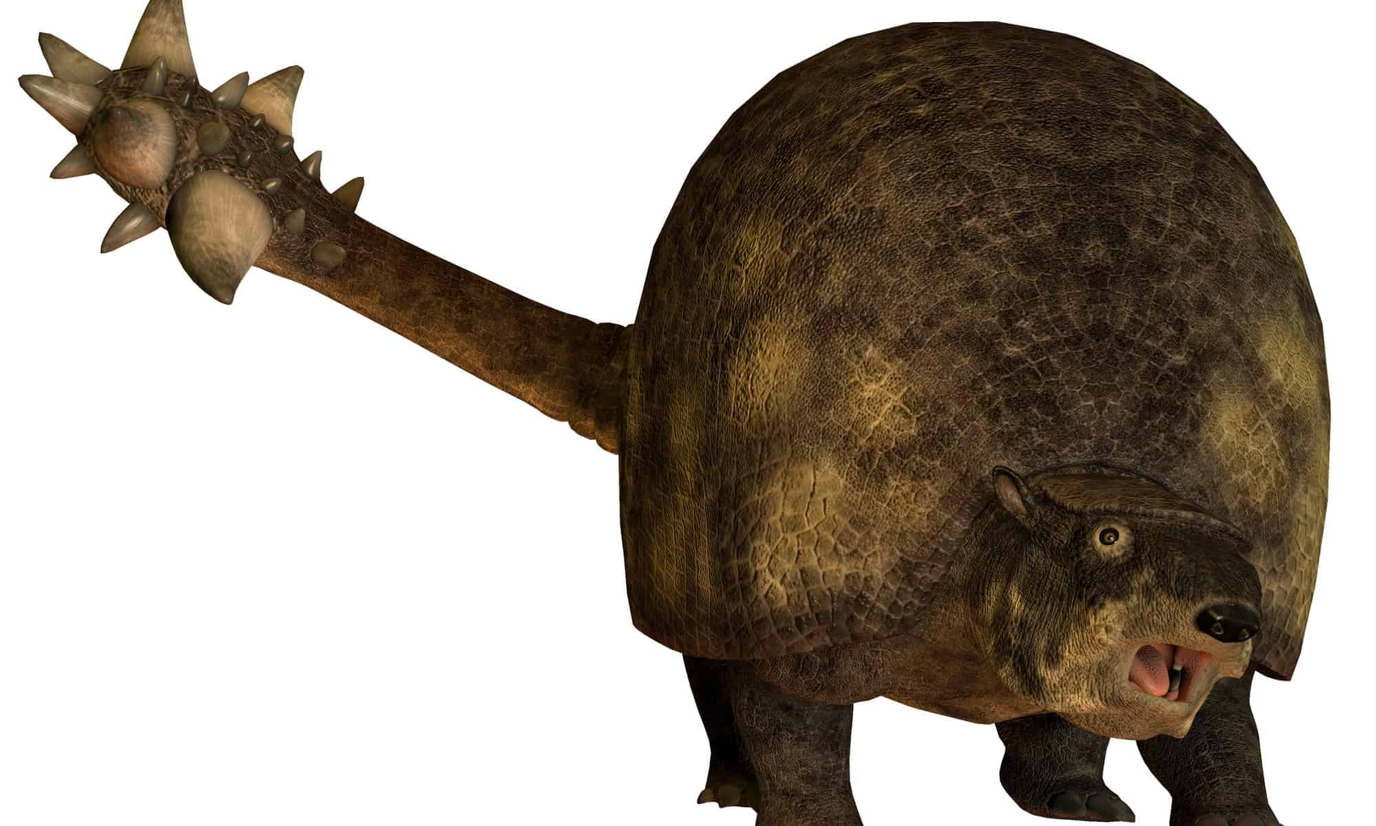 Discover 6 Extinct Animals That Lived in Florida AZ Animals
