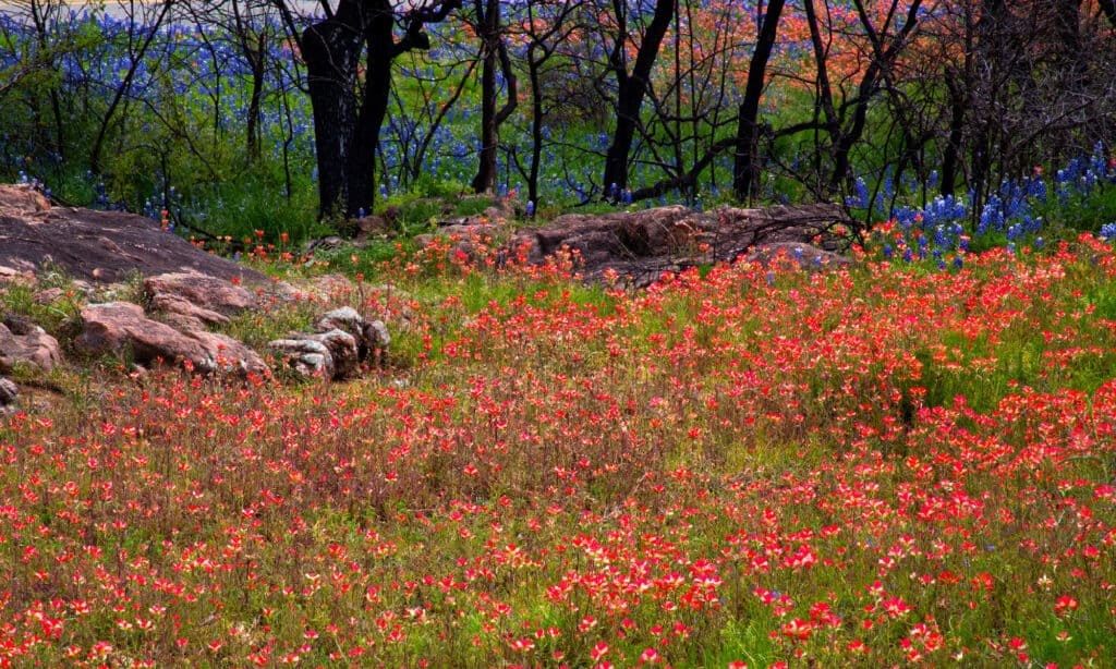 Inks Lake State Park