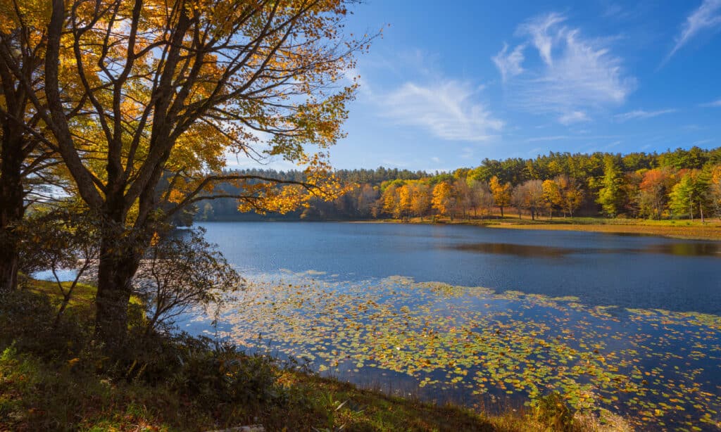 Bass Lake North Carolina