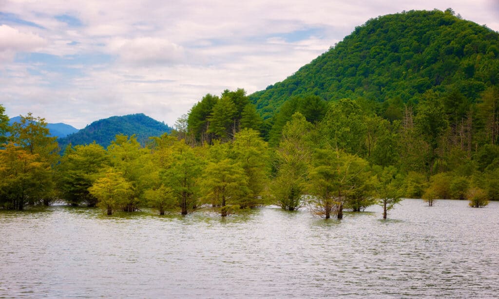 Lake Watauga