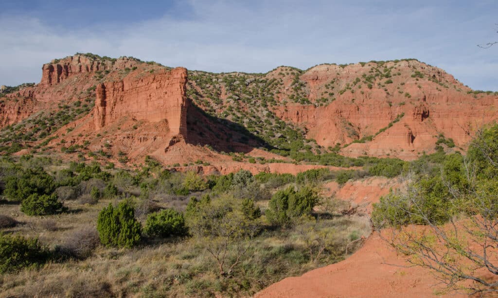 Caprock Canyons State Park