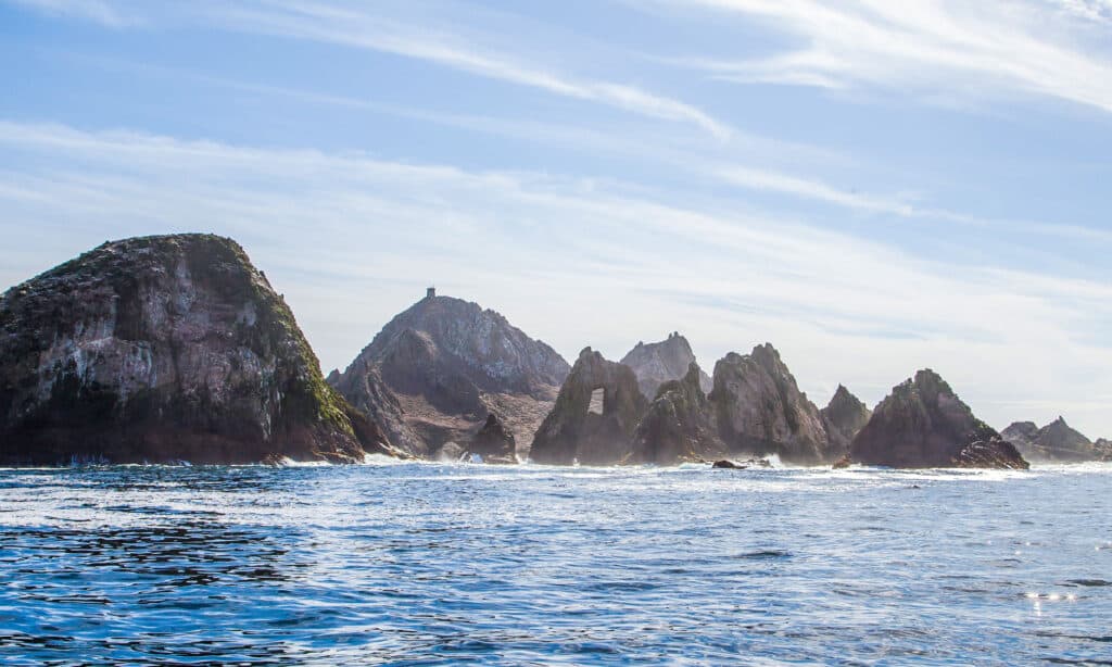 Farallon Islands, San Francisco