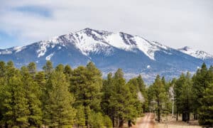 10 Unique Mountains In Arizona Picture