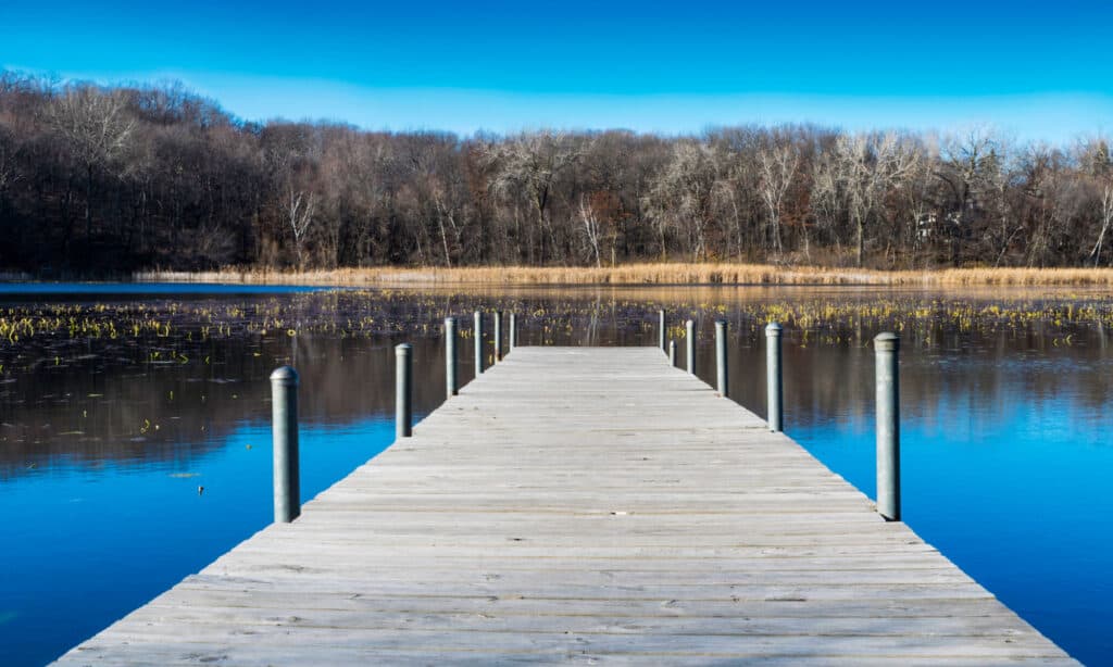 Lake of the Woods Minnesota