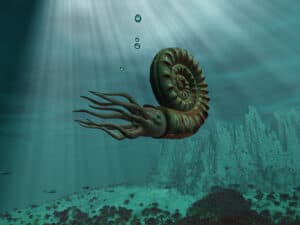 Ancient Oddities: 8 Extinct Sea Creatures Picture