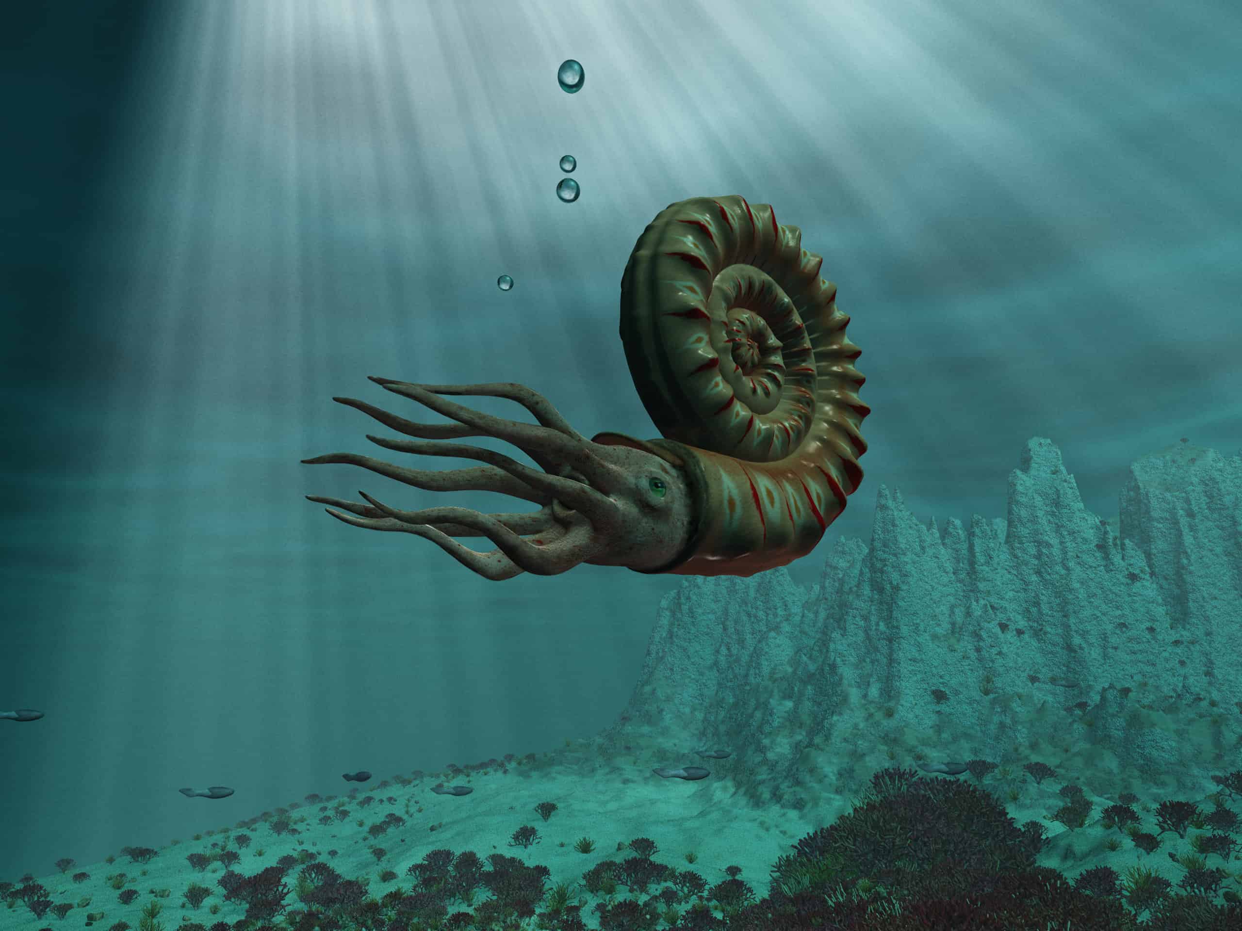 Ancient Oddities: 8 Extinct Sea Creatures - AZ Animals