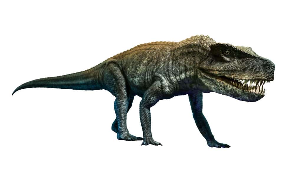 Postosuchus