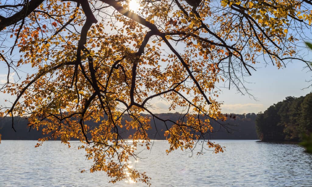 North Carolina Lake Johnson