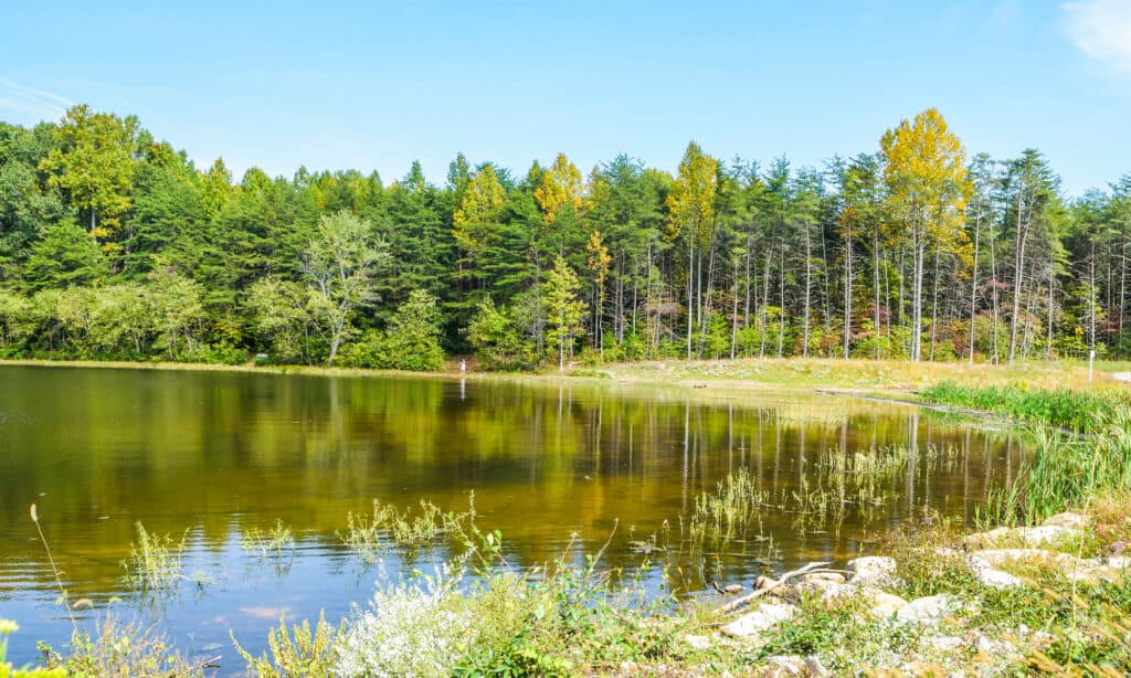 Burke Lake Virginia