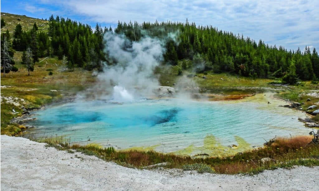 best geysers in yellowstone