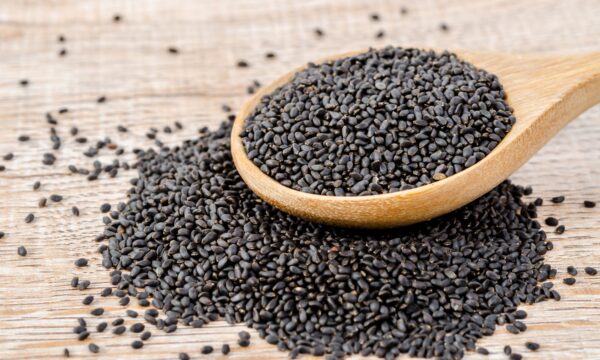Basil Seeds vs Chia Seeds: What’s the Difference? - A-Z Animals