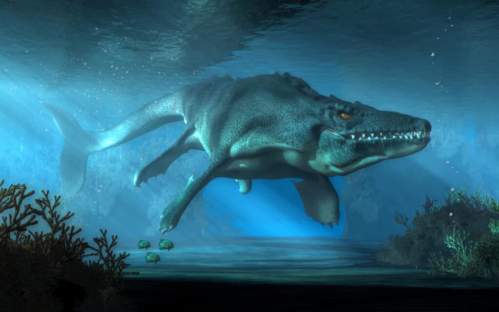 Mosasaurs outcompeted the smaller Liopleurodon