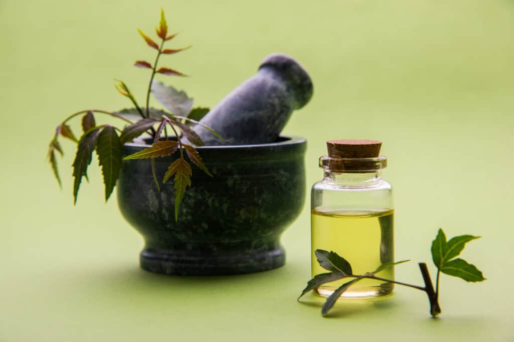 neem oil for controlling pests