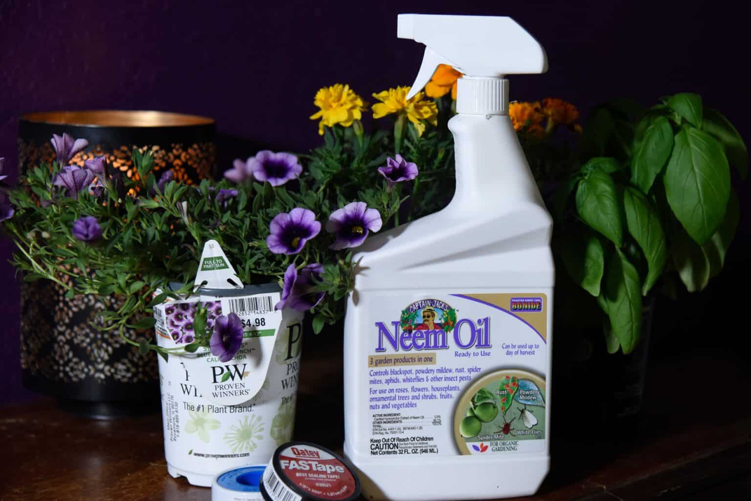 Does Neem Oil Work To Get Rid of Aphids? AZ Animals