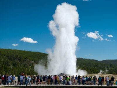 A What Lives At The Bottom of Old Faithful?