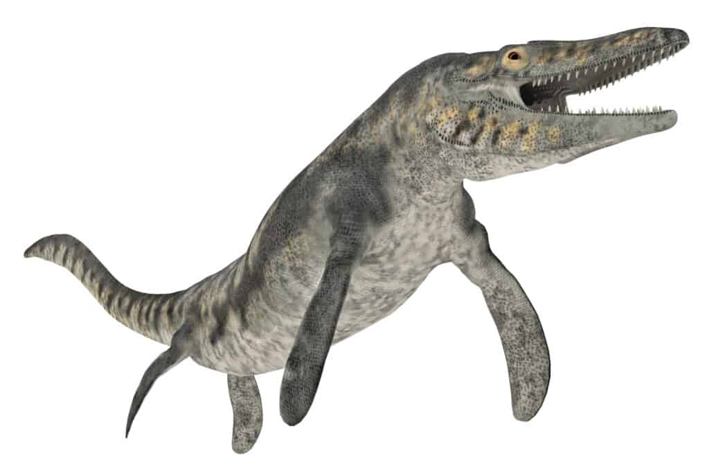 3D color illustration of a prehistoric mosasaur