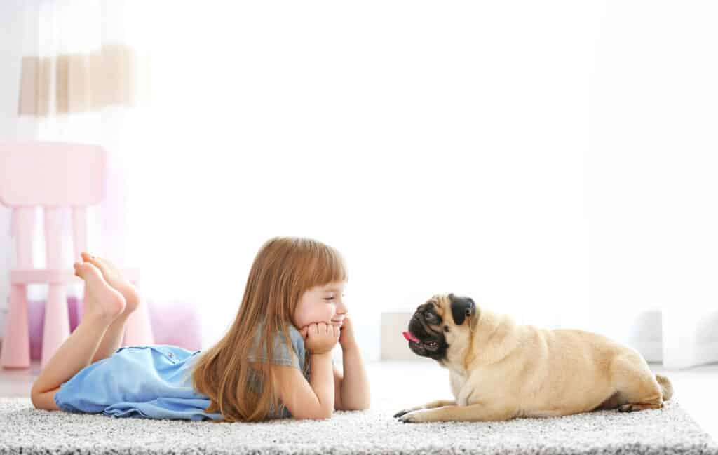 pug with child