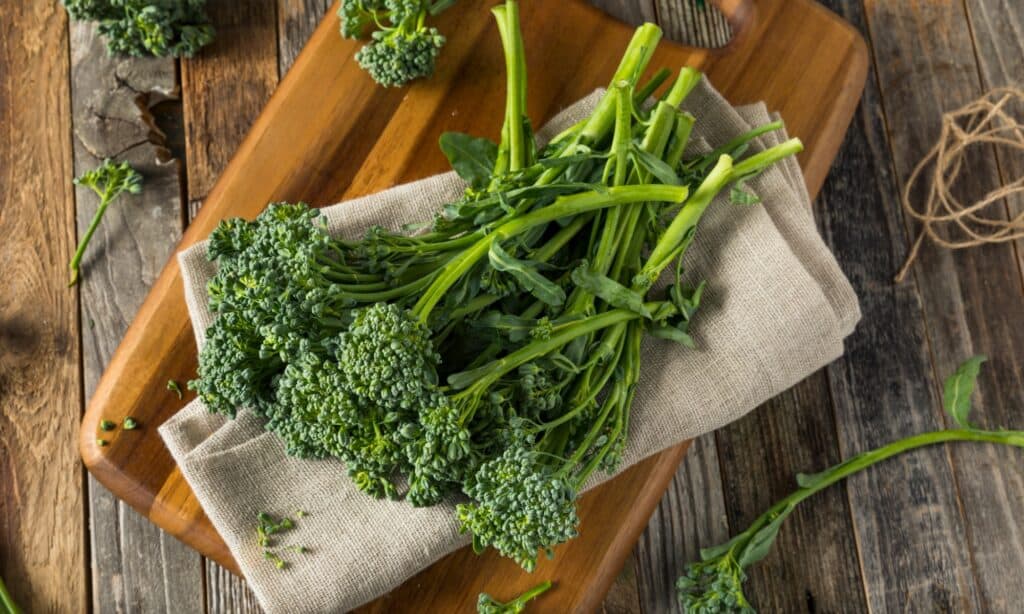 Broccolini vs Broccoli