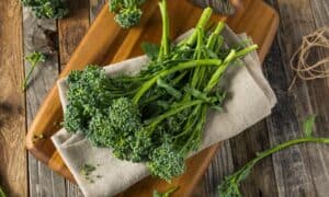 How to Grow Broccolini: A Complete Guide Picture