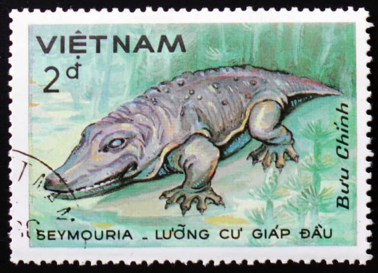 seymouria stamp