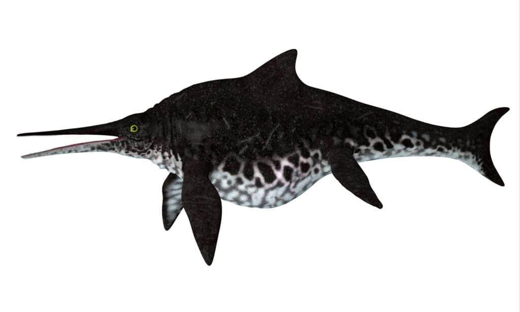 shonisaurus-ichthyosaur-side-profile-picture-id1200588968