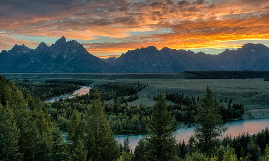 Why the Snake River is One of America's Most Endangered Rivers