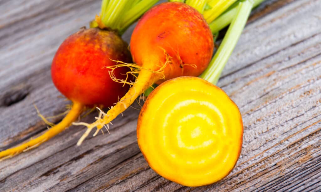 Golden beets include orange-hued varieties. 